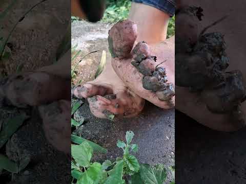 Playing in the Mud with my Toes ASMR #feet #satisfying#DirtyFeet #FootFetish #PiesSucios #SoleLover
