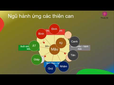 Video Tìm hiểu về ngũ hành (1) - YouTube