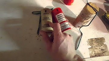 Canister shell comparison!