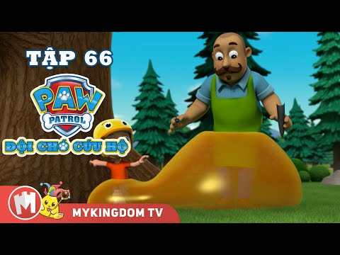 ĐỘI CHÓ CỨU HỘ PAW PATROL MINI | Tập 66 | Phim hoạt hình