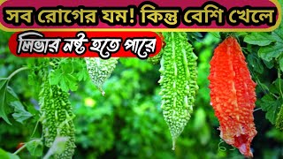 করলার বিশেষ গুন || সব রোগের যম || @Health Maintain||