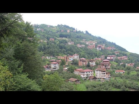 Araklı Yeşilköy (Goga) Köyü Tanıtım Videosu