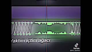 O deli gacı