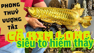 🔥Tượng Phật Di Lặc Siêu Đẹp – Cá Kim Long Phong Thuỷ Vượng Tài – Bộ Ông Địa Thần Tài Thần Tiền