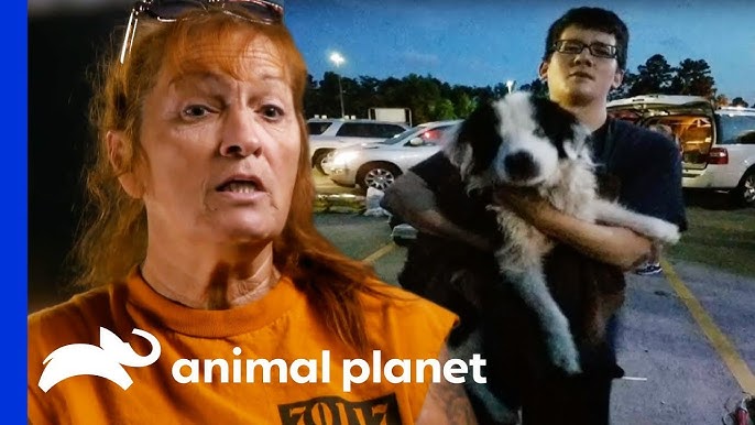 Pit Bulls and Parolees' Season 16 Episode 7 Preview: Mariah searches for a  homeless woman and her dog