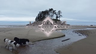 Stranded On A Beach, Days Before Guest Arrival - Rivers Inlet | Calvert Island | Good Hope Cannery