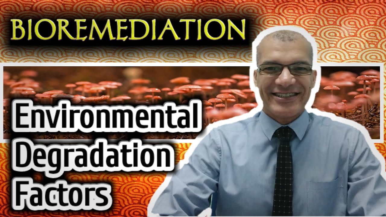 Environmental Degradation Factors