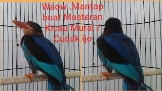 TENGKEK CEKAKAK JAWA by DMI Eps 25