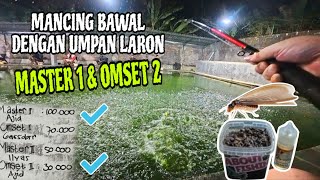 Mancing Bawal Dengan Umpan Laron Dapat Master Dan Omset 