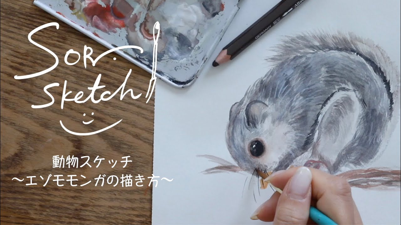 どうぶつスケッチ Kitaca でもおなじみの エゾモモンガ 絵本作家そら 札幌市円山動物園 Youtube