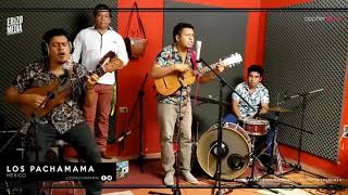 Los Pachamama - El Coco (Erizo en Casa)