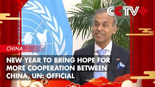 New Year to Bring Hope for More Cooperation Between China, UN: Official