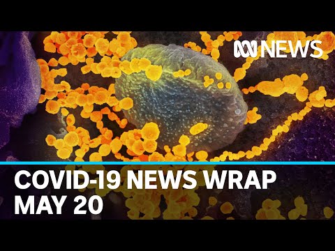 Coronavirus update: The latest COVID-19 news for Wednesday May 20 | ABC News