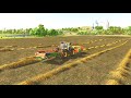 Onion Harvesting and collecting judith plains farm fs25