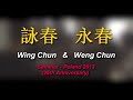 Wing chun vs weng chun  vingdragon seminar dvd excerpts
