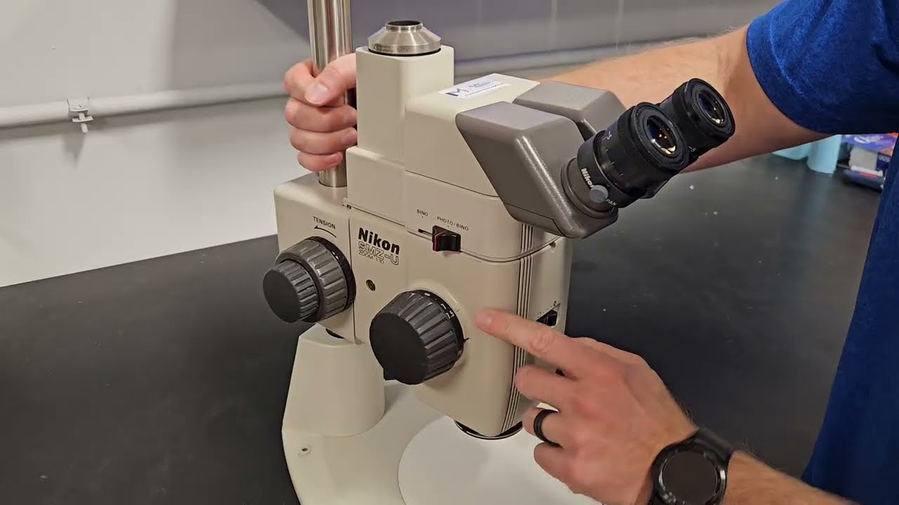 Nikon SMZ-U Stereo Microscope Overview: A Classic Zoom Workhorse | Microscope Marketplace