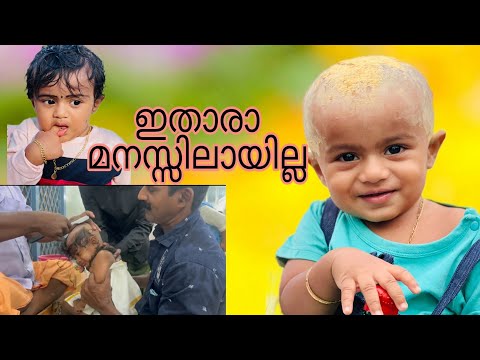 ലക്കി പഴയ ലക്കി അല്ല ന്യൂ ലുക്കിൽ ലക്കി#amma #luckyfamily #kichuzz #family #lucky #familylover