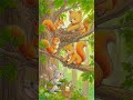 The Best Friend's picnic 🌈🌧️🐻🐰🐿️🌦️