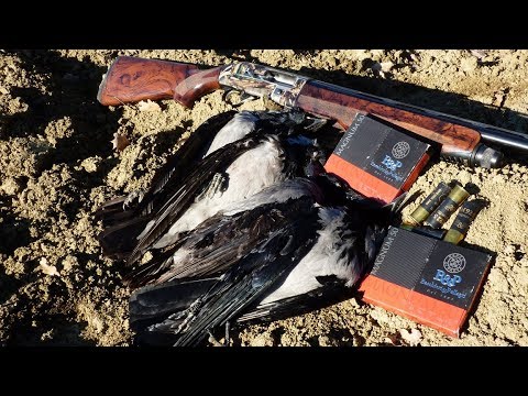 Test a caccia: Baschieri&Pellagri Magnum 50 calibro 12/76