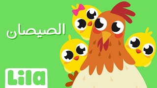 هالصيصان شو حلوين (٢٠٢٣) 🐤 ليلا تي في