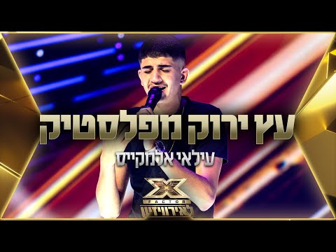 עילאי אלמקייס - עץ ירוק מפלסטיק | 💙🤍💙 אקס פקטור לאירוויזיון 2022