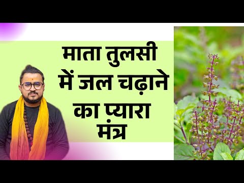 इन 2 बहुत प्यारे मन्त्रों से तुसली माता में रोज जल अर्पित किया करो .. बहुत अच्छा लगेगा ||