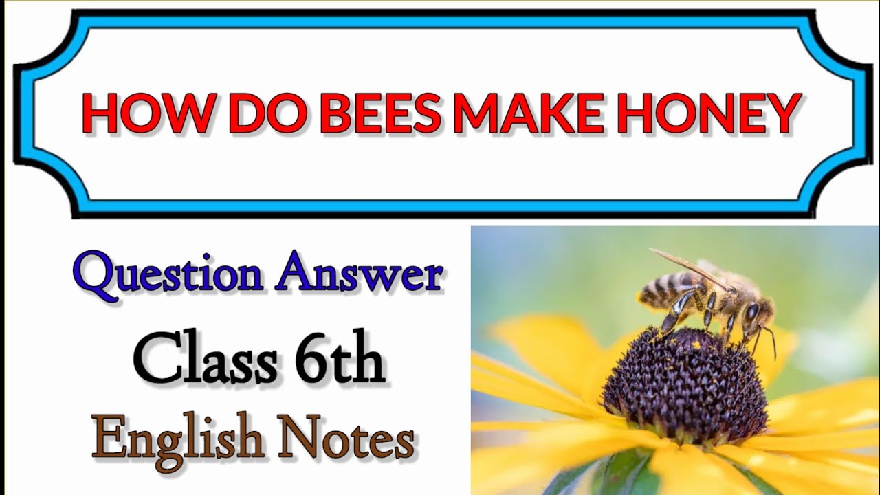 How Do Bees Make Honey Question and Answer Class 6TH। Unit - 3। English ...