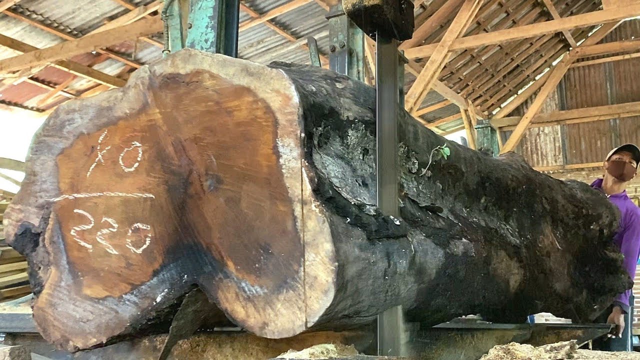 Strong wood other than teak - Changes in form of Joar rivet wood to frames with sawmill