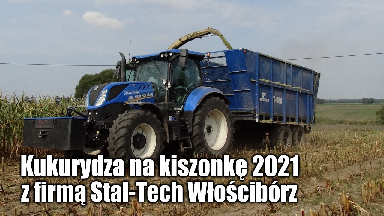 maxresdefault Kukurydza na kiszonkę 2021 z firmą Stal Tech Włościbórz   VIDEO