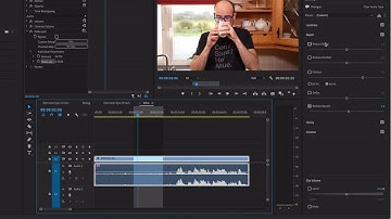 102 How to remove Echo in video in Premiere Pro