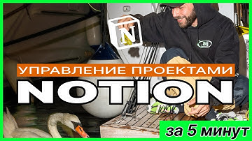 Управление проектами в Notion за 5 минут. Советы и опыт