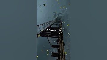 القارئ محمد اللحيدان.... #القرآن_الكريم #تلاوة #تلاوة_خاشعة #الآخرة #تذكير #قرآن #مؤثر
