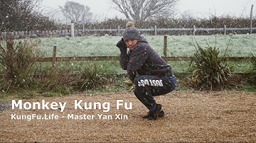 Shaolin Monkey Style