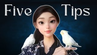 5 General Bird Tips for New Parrot Owners🦜 Beginner Guide
