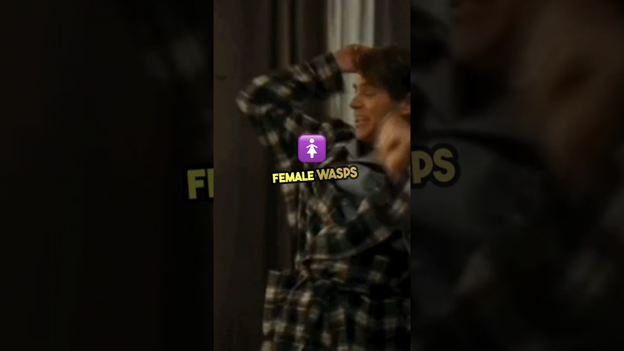 what the sign of wasp attack? 