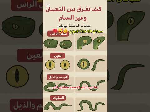 كيف تفر ق بين الثعبان السام وغير السام علامات قد تنقذ حياتك