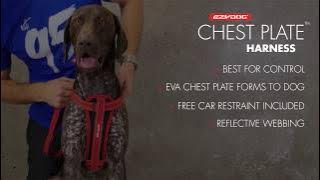 How to Fit a Dog Harness - EzyDog Chest Plate Harness