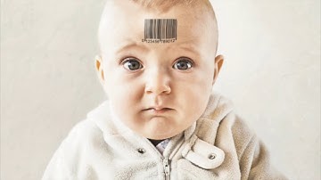 Paradigm Shift Video