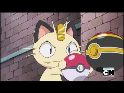 Pikachu almost caught Meowth Pokémon Journeys episode 78 Sword and shield episode 79