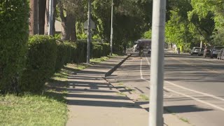 Davis homeowners could face sidewalk repair costs under new proposal