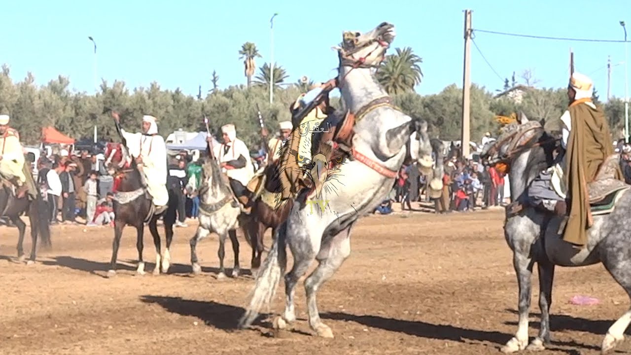 شوف واتمتع خيل وخيالة في وعدة اولاد خالد الرباحية 2