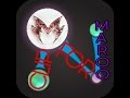 MAROO MAROO