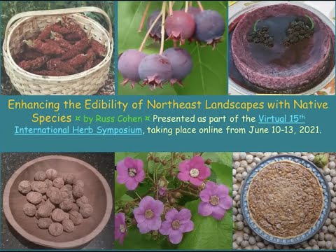 Enhancing the Edibility