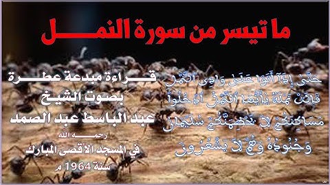 صاحب الحنجرة الذهبيـة-ما تيسر من سورة النمل-الشيخ عبد الباسط عبد الصمد-رحمه الله مع المصحف العثماني