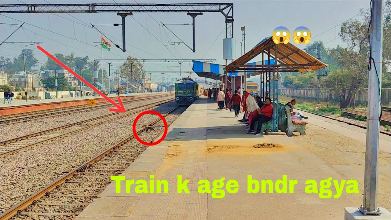 Train k age bandar agya 😱
