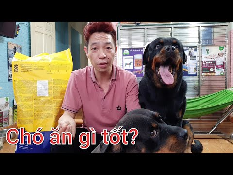 Video: Thức ăn cho chó tốt nhất cho Rottweilers là gì?