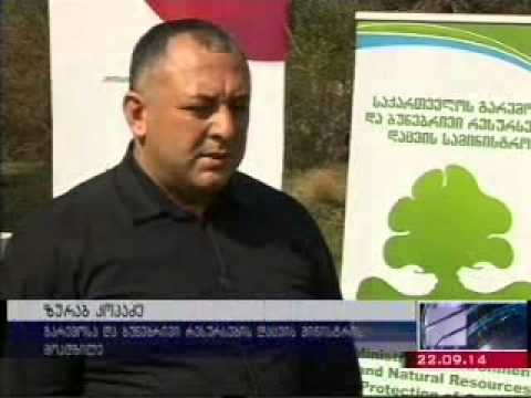 MOE: დაცული ტერიტორიების სააგენტოსა და პრობაციის სააგენტოს შორის მემორანდუმი გაფორმდა