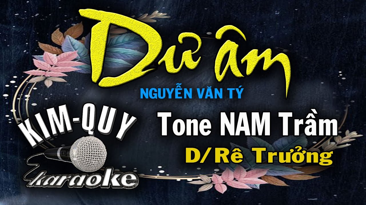 DƯ ÂM - KARAOKE - Tone NAM trầm ( D/Rê trưởng )