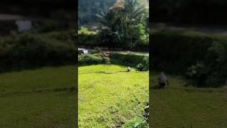 Download Lagu Ilmu Yang Paling Mahal Di Dunia Ini MP3