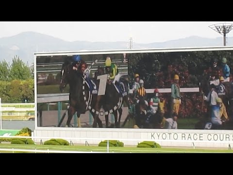 2017年 天皇賞(春) カウントダウン＆ファンファーレ